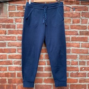 Patagonia Snap-T Fleece Pants, Size M (Blue)